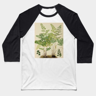 Maidenhair Ferns Baseball T-Shirt